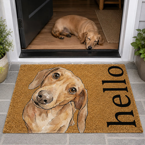 Custom Pet Portrait Funny Doormat Watercolor Art - Personalized Doormat